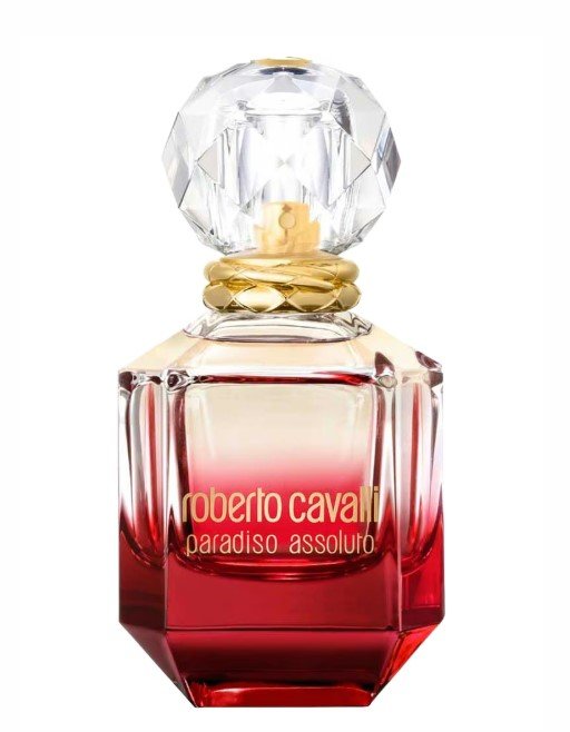 ROBERTO CAVALLI